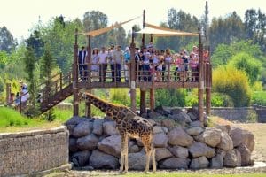 izmirgünlükkiralıkev-blogizmir 1